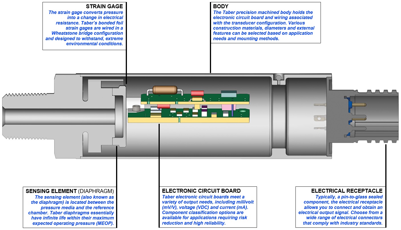 Transducer Cross-Section